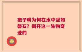 孢子粉为何在水中坚如磐石？揭开这一生物奇迹的