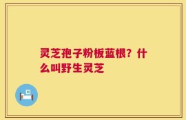 灵芝孢子粉板蓝根？什么叫野生灵芝