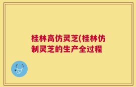 桂林高仿灵芝(桂林仿制灵芝的生产全过程