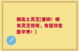 刚出土灵芝(重磅！稀有灵芝惊现，有望改变医学界！)