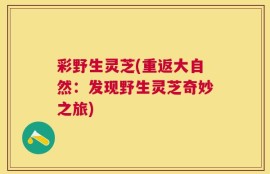 彩野生灵芝(重返大自然：发现野生灵芝奇妙之旅)