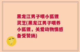 黑龙江男子喂小狐狸 灵芝(黑龙江男子喂养小狐狸，关爱动物情感备受赞扬)