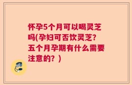 怀孕5个月可以喝灵芝吗(孕妇可否饮灵芝？五个月孕期有什么需要注意的？)
