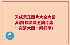 天成灵芝图片大全大图高清(珍贵灵芝图片集：高清大图一网打尽)