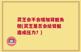 灵芝会不会增加肾脏负担(灵芝是否会给肾脏造成压力？)
