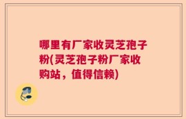 哪里有厂家收灵芝孢子粉(灵芝孢子粉厂家收购站，值得信赖)