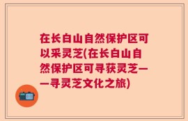 在长白山自然保护区可以采灵芝(在长白山自然保护区可寻获灵芝——寻灵芝文化之旅)