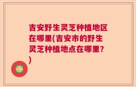 吉安野生灵芝种植地区在哪里(吉安市的野生灵芝种植地点在哪里？)