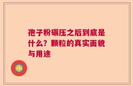 孢子粉碾压之后到底是什么？颗粒的真实面貌与用途