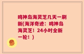 鸣神岛海灵芝几天一刷新(海洋奇迹：鸣神岛海灵芝！24小时全新一轮！)