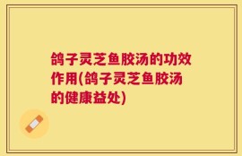 鸽子灵芝鱼胶汤的功效作用(鸽子灵芝鱼胶汤的健康益处)