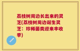 荔枝树周边长出来的灵芝(荔枝树周边诞生灵芝：珍稀菌类迎来丰收季)