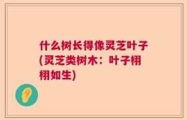 什么树长得像灵芝叶子(灵芝类树木：叶子栩栩如生)