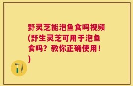 野灵芝能泡鱼食吗视频(野生灵芝可用于泡鱼食吗？教你正确使用！)
