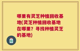 哪里有灵芝种植回收基地(灵芝种植回收基地在哪里？寻找种植灵芝的基地)