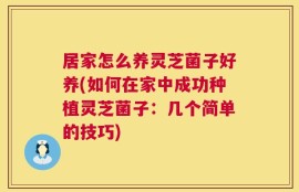 居家怎么养灵芝菌子好养(如何在家中成功种植灵芝菌子：几个简单的技巧)