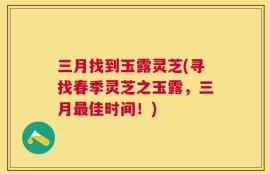 三月找到玉露灵芝(寻找春季灵芝之玉露，三月最佳时间！)