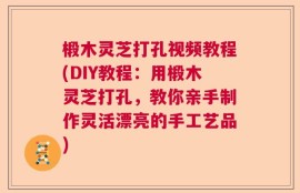 椴木灵芝打孔视频教程(DIY教程：用椴木灵芝打孔，教你亲手制作灵活漂亮的手工艺品)