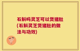 石斛吗灵芝可以煲猪肚(石斛灵芝煲猪肚的做法与功效)