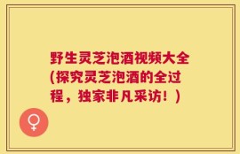 野生灵芝泡酒视频大全(探究灵芝泡酒的全过程，独家非凡采访！)