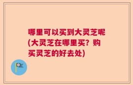 哪里可以买到大灵芝呢(大灵芝在哪里买？购买灵芝的好去处)