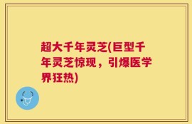 超大千年灵芝(巨型千年灵芝惊现，引爆医学界狂热)