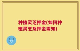 种植灵芝押金(如何种植灵芝及押金需知)