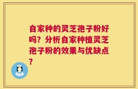 自家种的灵芝孢子粉好吗？分析自家种植灵芝孢子粉的效果与优缺点？