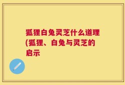 狐狸白兔灵芝什么道理(狐狸、白兔与灵芝的启示