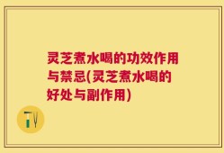 灵芝煮水喝的功效作用与禁忌(灵芝煮水喝的好处与副作用)