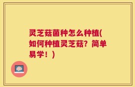 灵芝菇菌种怎么种植(如何种植灵芝菇？简单易学！)