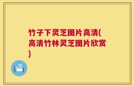 竹子下灵芝图片高清(高清竹林灵芝图片欣赏)