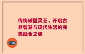 传统破壁灵芝，开启古老智慧与现代生活的完美融合之旅