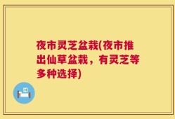夜市灵芝盆栽(夜市推出仙草盆栽，有灵芝等多种选择)