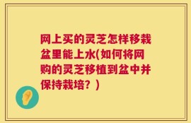 网上买的灵芝怎样移栽盆里能上水(如何将网购的灵芝移植到盆中并保持栽培？)