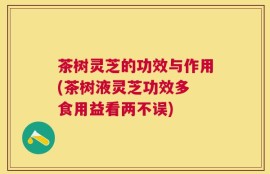 茶树灵芝的功效与作用(茶树液灵芝功效多 食用益看两不误)