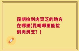 昆明捡到肉灵芝的地方在哪里(昆明哪里能捡到肉灵芝？)