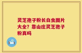 灵芝孢子粉长白虫图片大全？靠山庄灵芝孢子粉真吗