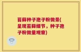 苔藓种子孢子粉微景(呈现苔藓细节，种子孢子粉微量观察)
