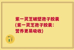 紫一灵芝破壁孢子胶囊(紫一灵芝孢子胶囊：营养更易吸收)