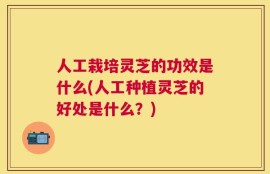人工栽培灵芝的功效是什么(人工种植灵芝的好处是什么？)
