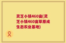 灵芝小镇460亩(灵芝小镇460亩草原成生态农业基地)