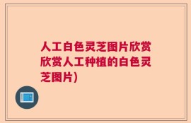人工白色灵芝图片欣赏欣赏人工种植的白色灵芝图片)