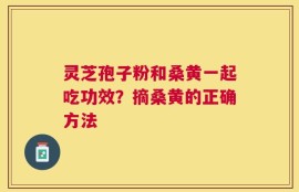 灵芝孢子粉和桑黄一起吃功效？摘桑黄的正确方法