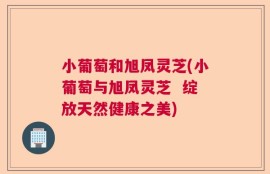 小葡萄和旭凤灵芝(小葡萄与旭凤灵芝  绽放天然健康之美)