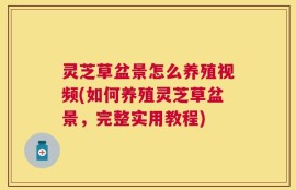 灵芝草盆景怎么养殖视频(如何养殖灵芝草盆景，完整实用教程)