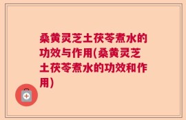 桑黄灵芝土茯苓煮水的功效与作用(桑黄灵芝土茯苓煮水的功效和作用)