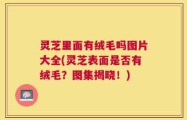 灵芝里面有绒毛吗图片大全(灵芝表面是否有绒毛？图集揭晓！)