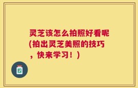 灵芝该怎么拍照好看呢(拍出灵芝美照的技巧，快来学习！)