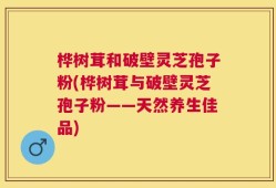 桦树茸和破壁灵芝孢子粉(桦树茸与破壁灵芝孢子粉——天然养生佳品)